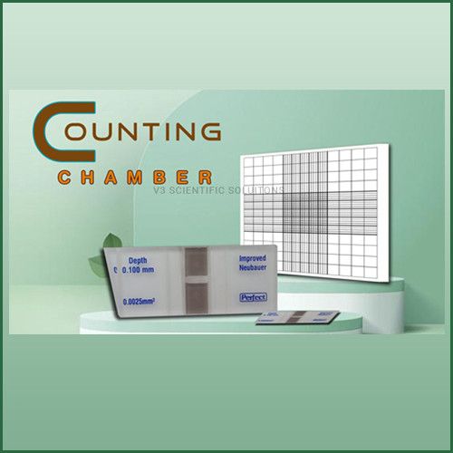 counting-chamber