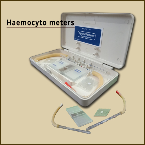 haemocytometer4.jpg
